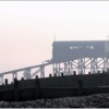 Selsey Coastal Trust