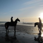 Coastal visits linked to well-being