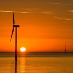 Marine Species and Subsea cables report