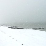 Climate Resilience & Adaptation