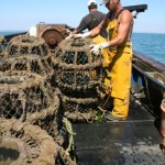 Marine Socio Economics