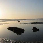 Coastal Quality in The Hague