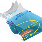 Deep Sea Microplastics