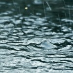 Flooding Reference Guide