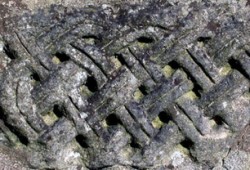 Novium free entry from 17th Nov