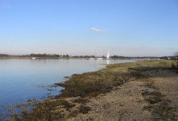Walk the Harbour