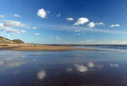 Lyme Bay the road to recovery