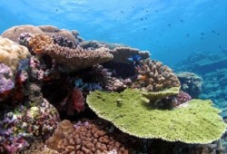 It's getting Warmer...