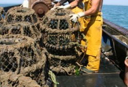 Marine Socio Economics