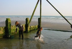 Resilience & Adaptation