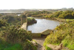 Neighbourhood Planning