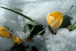 Sussex Biodiversity Partnership