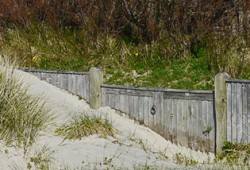 Climate Change & Coastal Communities