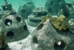 Reef to protect endangered UK crayfish