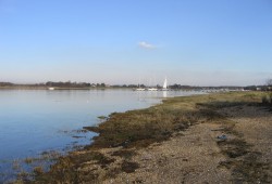 Chichester Harbour Events Nov 2021