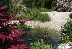 Selsey Gardens Open Day 