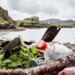 MPs Urge Supermarkets to Scrap Plastic Packaging