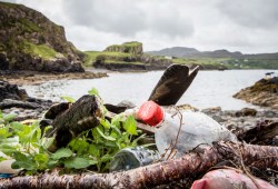 MPs Urge Supermarkets to Scrap Plastic Packaging