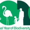 International Year of Biodiversity 