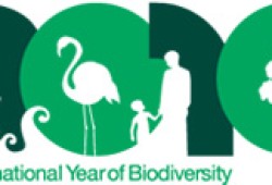 International Year of Biodiversity 